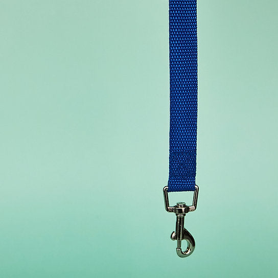 Trainingshondenriem | Blauw | 10 meter