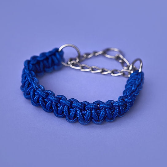Twisted Leash with Martingale Collar | Blue
