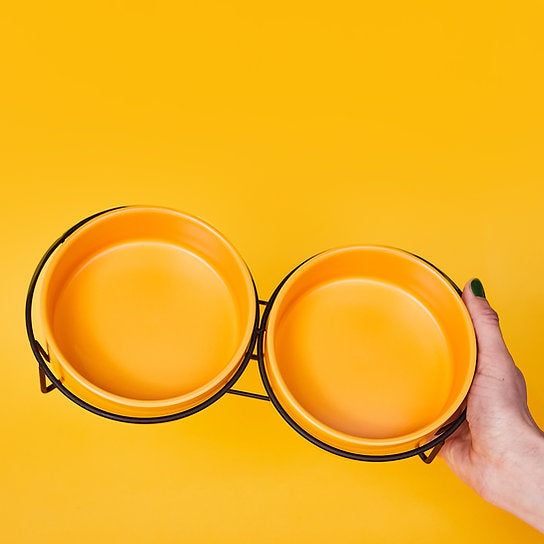 Ceramic Dog Bowls | Yellow