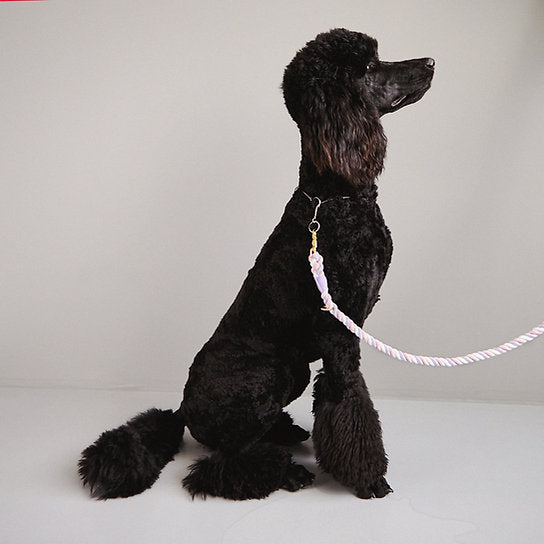 Twisted Rope Dog Leash | Cotton Candy
