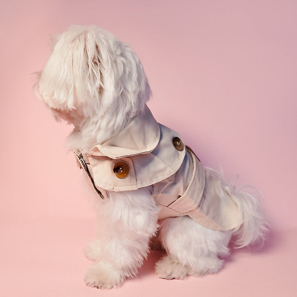 British Style Dog Coat | Cream