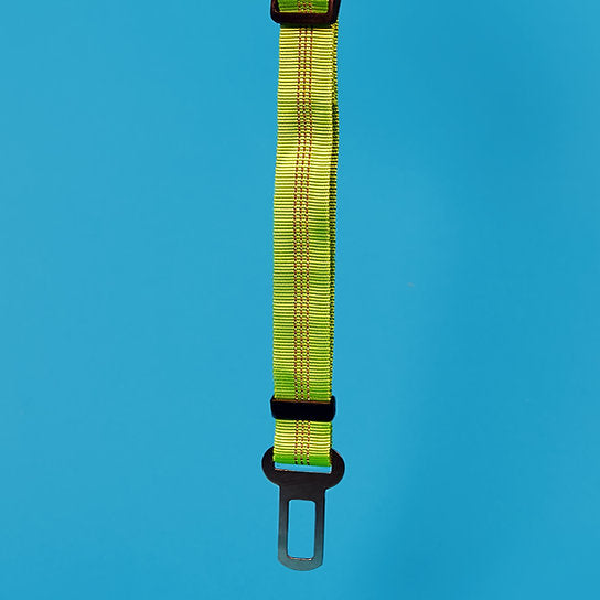 Dog Seat Belt Leash | Green