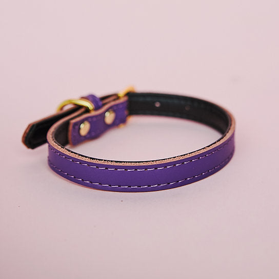 Leren Hondenhalsband | Paars