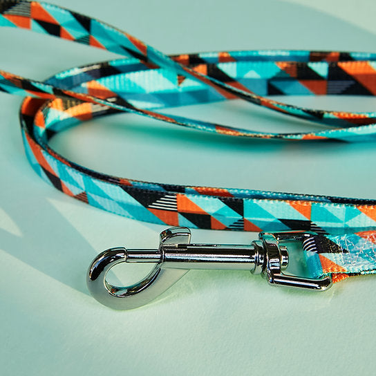 Set met hondenriem en halsband met patroon | Lichtgroen