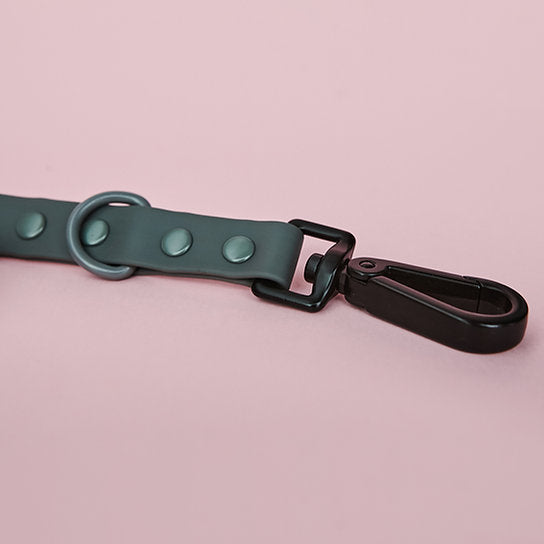 Waterdichte riem met halsband | Donkergrijs | Medium