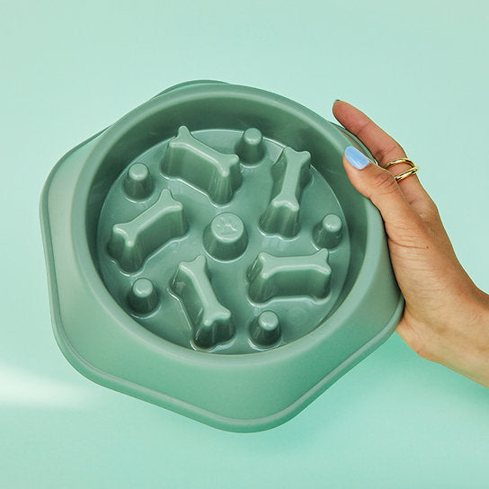 Eat-Slow Dog Bowl | Green