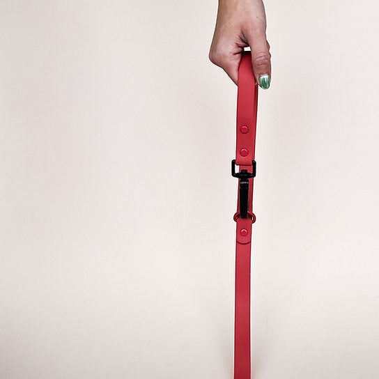Waterdichte riem met halsband | Rood | Medium