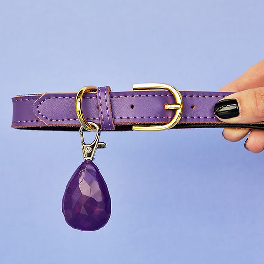 LED Hondenhalsband Hanger | Paars