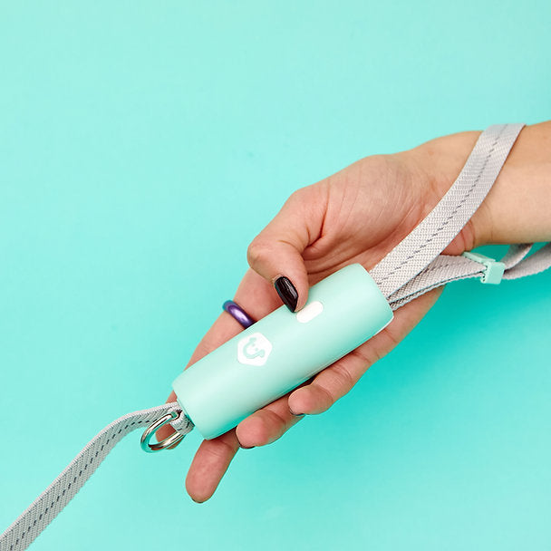 Innovatieve hondenriem | Mintgroen