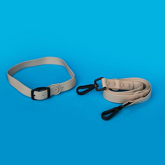 Waterproof Leash with Collar | Grey | Medium & Large