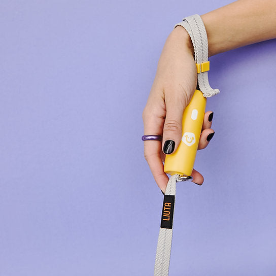 Innovative Dog Leash | Yellow