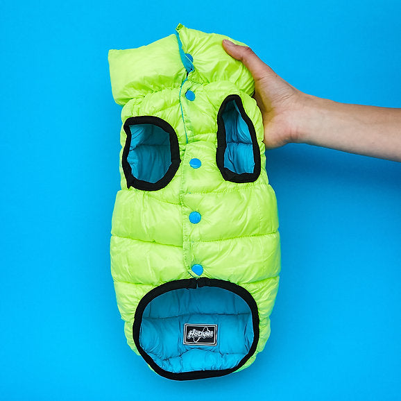 Puffer Dog Vest | Neon Green & Blue