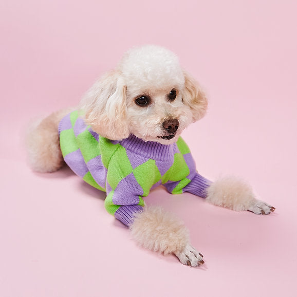 Warmer Hundepullover | Lila & Grün