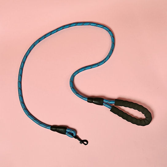 Reflecterende Nylon Hondenriem | Blauw