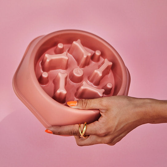 Eet-Slow Hondenbak | Roze