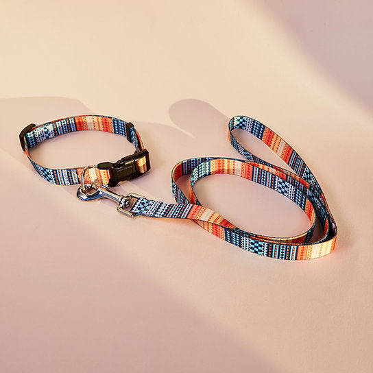 Set met hondenriem en halsband met patroon | Oranje