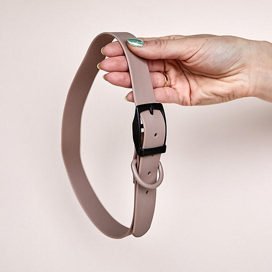 Waterproof Leash with Collar | Beige | Large
