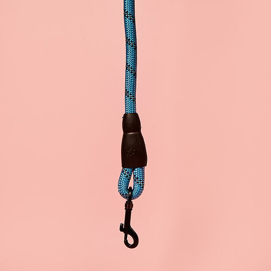 Reflective Nylon Dog Leash | Blue