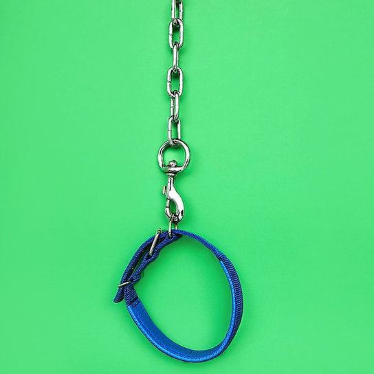 Kettingriem met halsband | Blauw