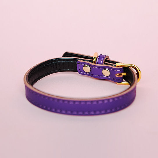 Leren Hondenhalsband | Paars