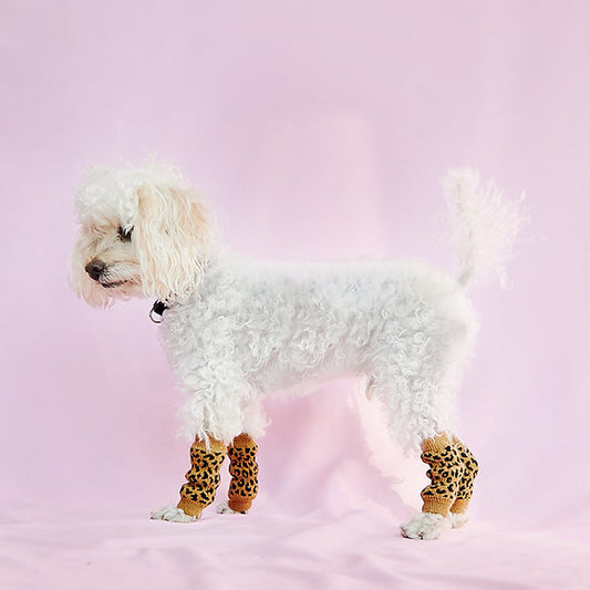 Dog Leg Warmer | Leopard Print