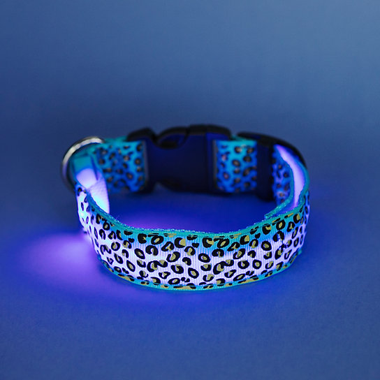 LED Hondenhalsband | Blauw