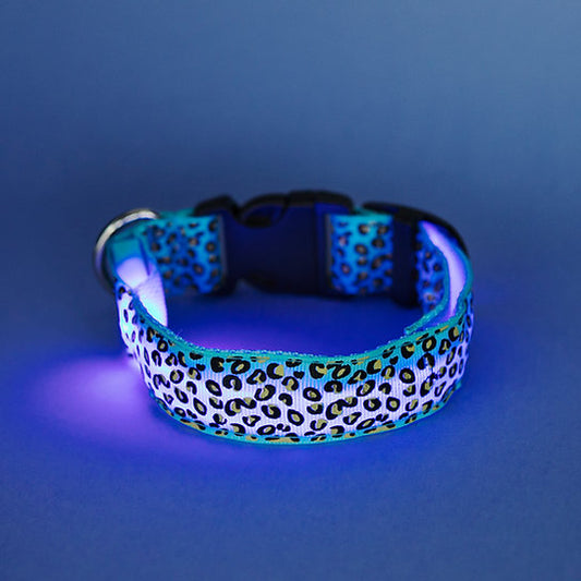 LED Hundehalsband | Blau