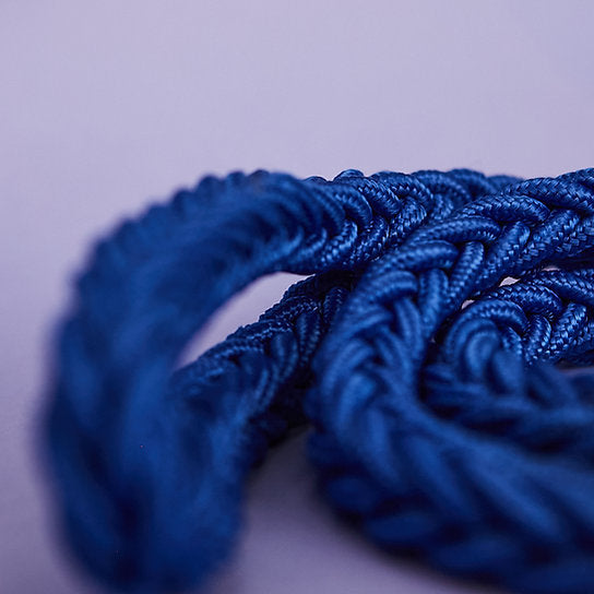 Twisted Leash with Martingale Collar | Blue