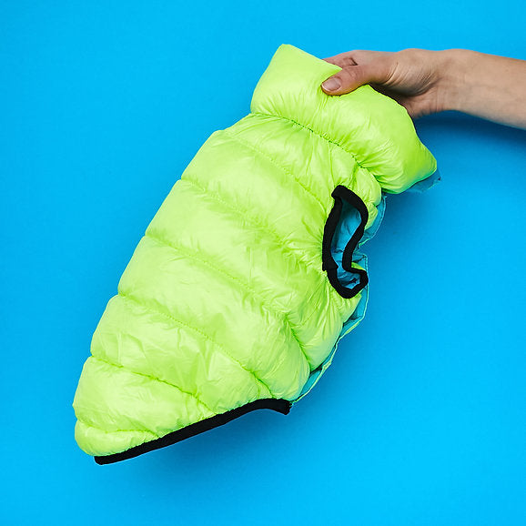 Puffer Dog Vest | Neon Green & Blue