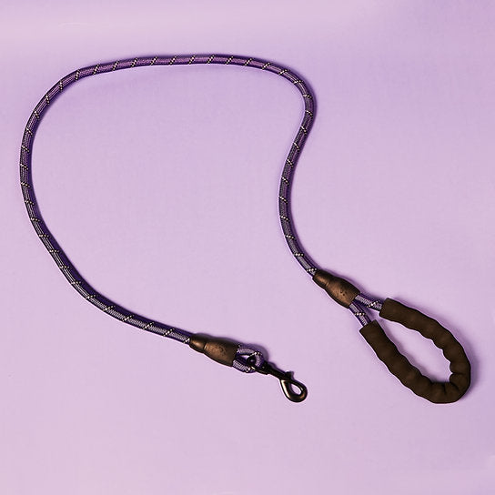 Reflective Nylon Dog Leash | Purple