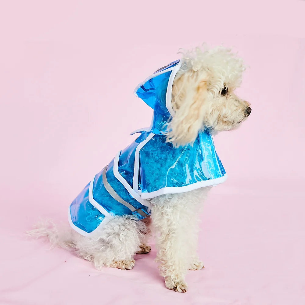 Clear Small Dog Raincoat | Blue