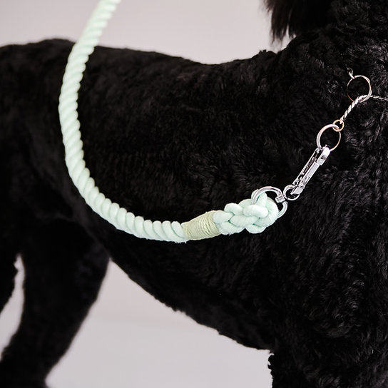 Twisted Rope Dog Leash | Mint Green