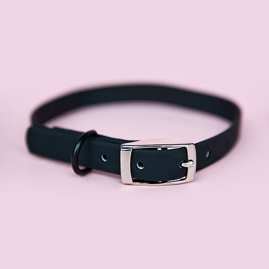 Waterproof Leash with Collar | Black | S