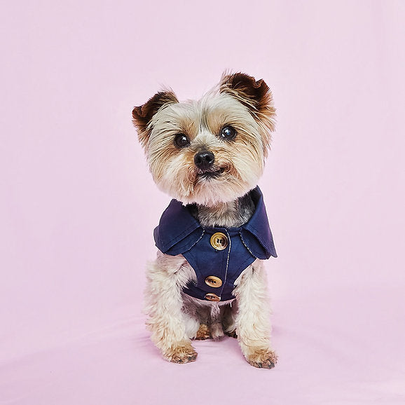 British Style Dog Coat | Blue