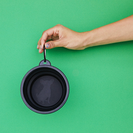 Pop-Out Dog Food Bowl | Black