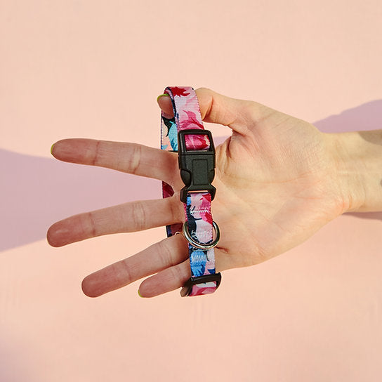 Set met hondenriem en halsband met patroon | Roze bloemen