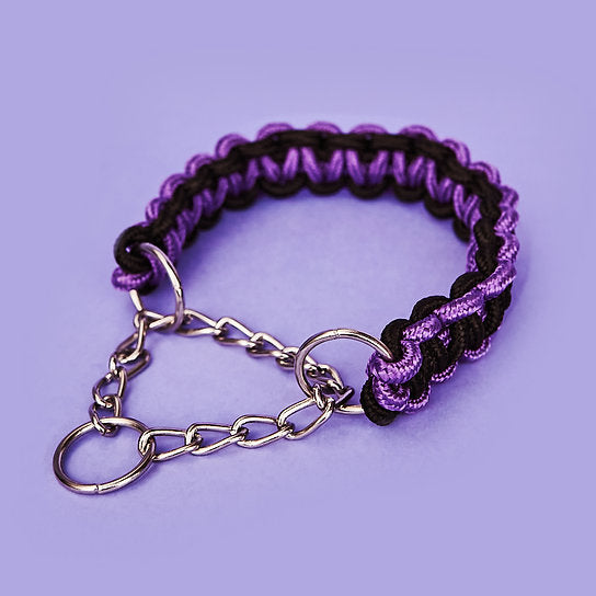 Twisted Leash met Martingale Halsband | Paars