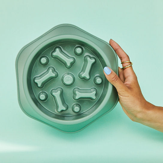 Eat-Slow Dog Bowl | Green