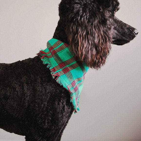 Driehoek katoenen hondenbandana | Groen & Rood