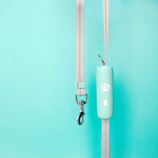 Innovatieve hondenriem | Mintgroen