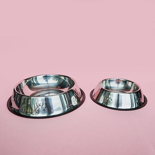 Painted Non-Slippery Bowl | Silver Shine