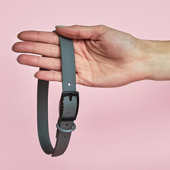 Waterdichte riem met halsband | Donkergrijs | Medium