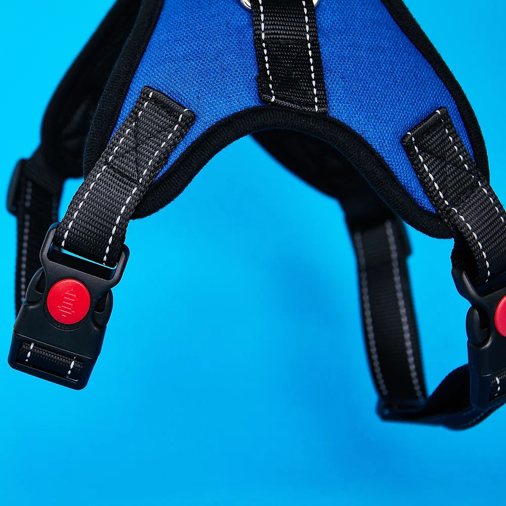 Adjustable Dog Harness | Blue