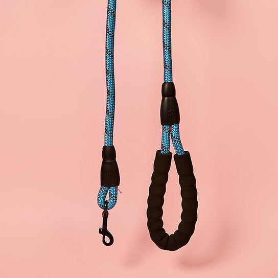 Reflective Nylon Dog Leash | Blue