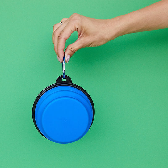 Pop-Out Dog Food Bowl | Blue