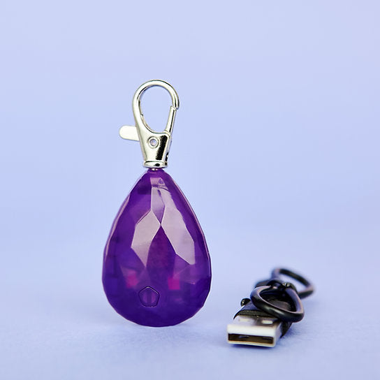 LED Hondenhalsband Hanger | Paars