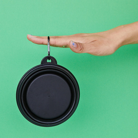 Pop-Out Dog Food Bowl | Black