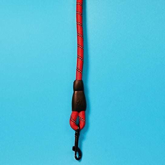 Reflective Nylon Dog Leash | Red