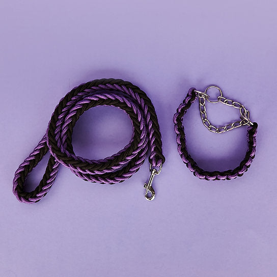 Twisted Leash met Martingale Halsband | Paars