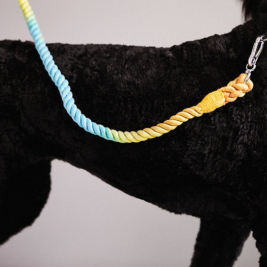 Twisted Rope Dog Leash | Rainbow